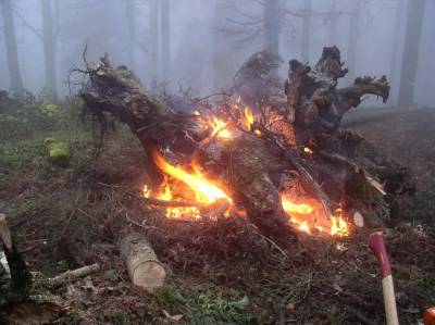 Kliknite za ogled večje slike