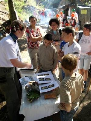 Кликни за целосна големина на сликата