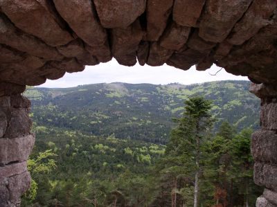 Kliknite za ogled večje slike