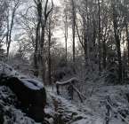 Le Kagenfels